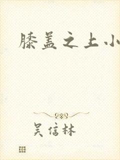 膝盖之上小说封面