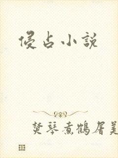 侵占小说
