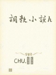 调教小说h