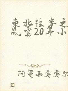 东北往事之黑道风云20年小说