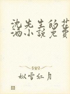 沈先生的花式调酒小说免费阅读