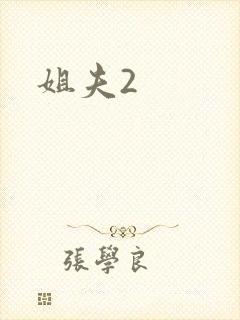姐夫2封面