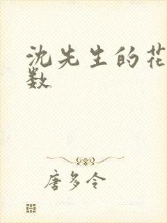 沈先生的花式调数封面