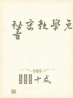 秘密教学免费观看封面