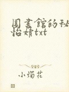 图书馆的秘密程怡婧txt封面