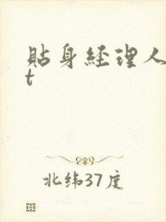 贴身经理人txt