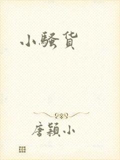 小骚货