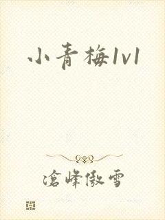 小青梅1v1