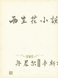 两生花小说封面
