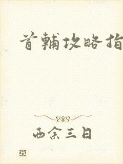 首辅攻略指南