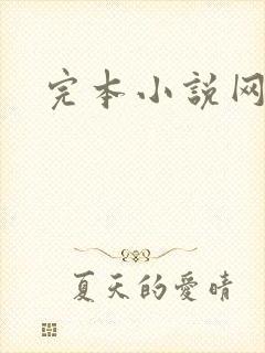 完本小说网