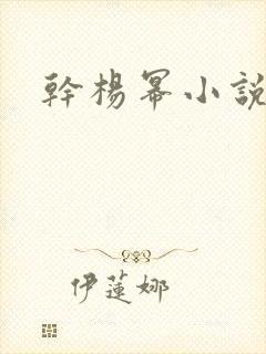干杨幂小说