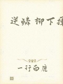 逆鳞 柳下挥封面