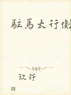 驻马太行侧封面