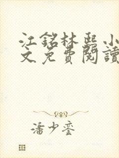 江铭林熙小说全文免费阅读封面