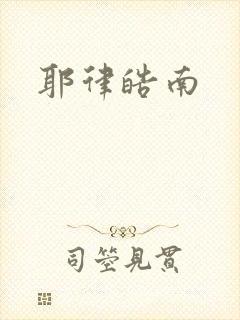 耶律皓南封面