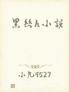 黑丝h小说