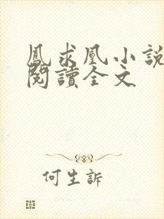 凤求凰小说免费阅读全文
