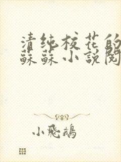清纯校花的日常苏苏小说阅读全文封面