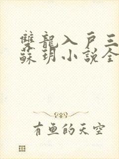 双龙入户三人行苏玥小说全文阅读