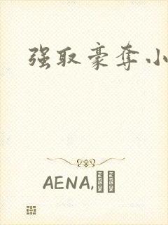 强取豪夺小说封面
