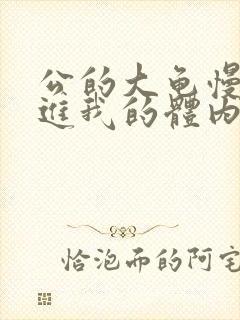 公的大龟慢慢挺进我的体内