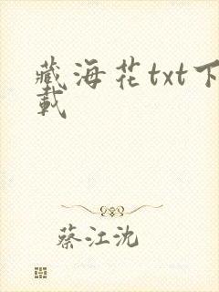 藏海花txt下载