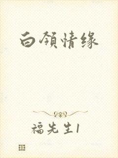 白领情缘封面