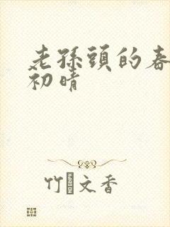 老孙头的春天林初晴
