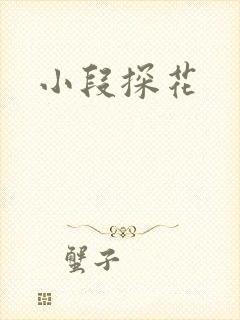 小段探花