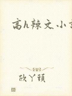 高h辣文小说