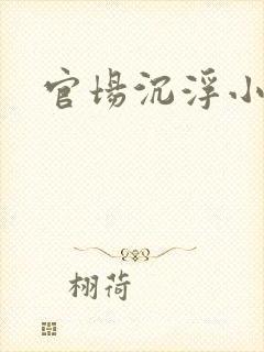 官场沉浮小说