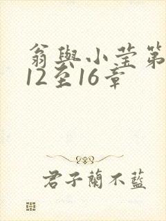 翁与小莹第十部12至16章