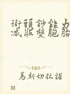 街头钞能力无删减版双胞胎