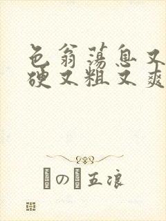 色翁荡息又大又硬又粗又爽