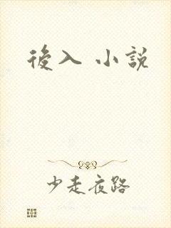 后入 小说