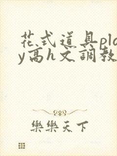 花式道具play高h文调教
