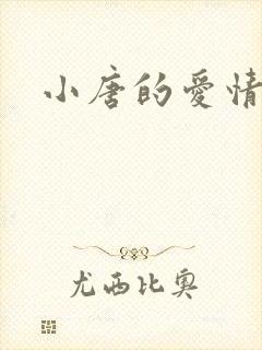 小唐的爱情史