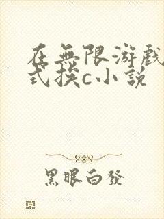 在无限游戏里花式挨c小说封面