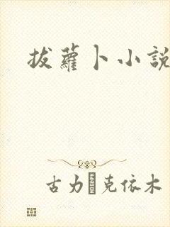 拔萝卜小说封面