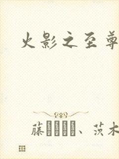 火影之至尊邪帝