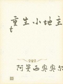 重生小地主txt