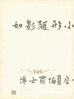 如影随形小说