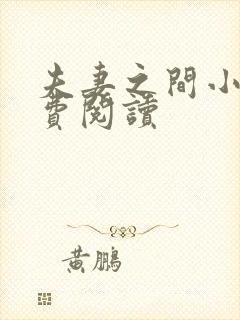 夫妻之间小说免费阅读