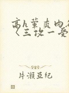 高h荤爽肉欲文〈三攻一受