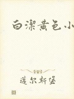 白洁黄色小说