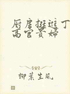 厨房挺进丁字裤高官贵妇
