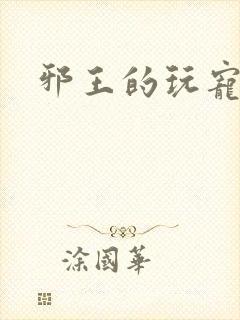 邪王的玩宠