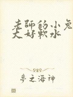 老师的小兔子好大好软水封面