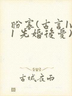 盼寡(古言1v1 先婚后爱)